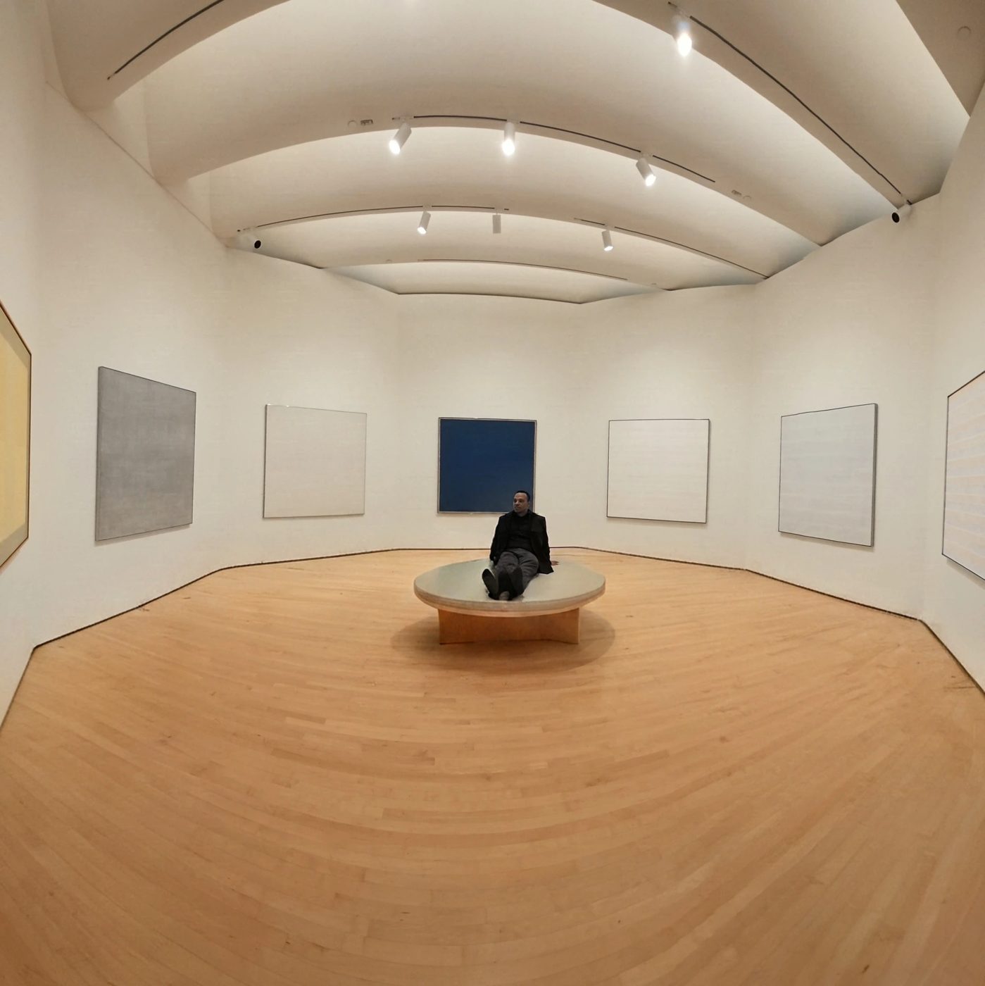 Kiburi sitting alone in a quiet gallery, surrounded by minimal canvases